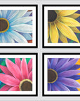 Four Daisies (polyptych) Print Rhi Wilde Fine Art Paper 20x20 black-matte