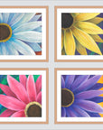 Four Daisies (polyptych) Print Rhi Wilde Fine Art Paper 20x20 natural-matte