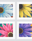 Four Daisies (polyptych) Print Rhi Wilde Fine Art Paper 20x20 white-matte