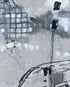 Monochromes Series: Cellular Harbors Print Cheryl Kinderknecht
