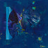 Blues Print Chris Van Loan, Sr.