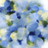 Misty Blue Print Christine Jermyn