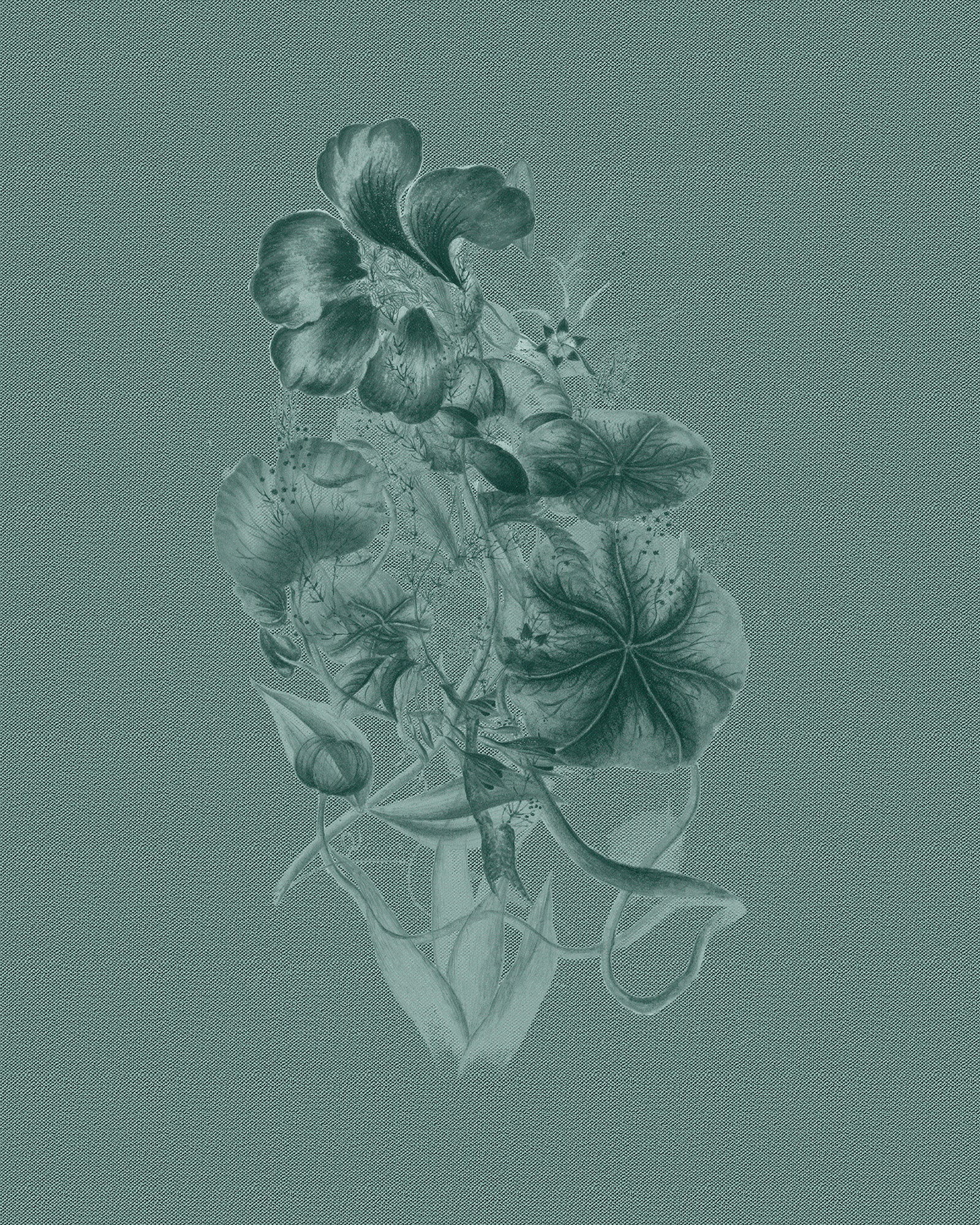 Nothing but Flowers Print D. L. Wye