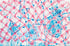 Catch Me If You Can Print Elizabeth Belstraz