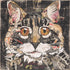 The Cat Original Artwork Elizabeth Hilton