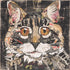 The Cat Print Elizabeth Hilton