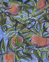 Ephemera Print Elizabeth Shanahan