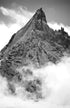 Silent Summit Print Jeff Diener