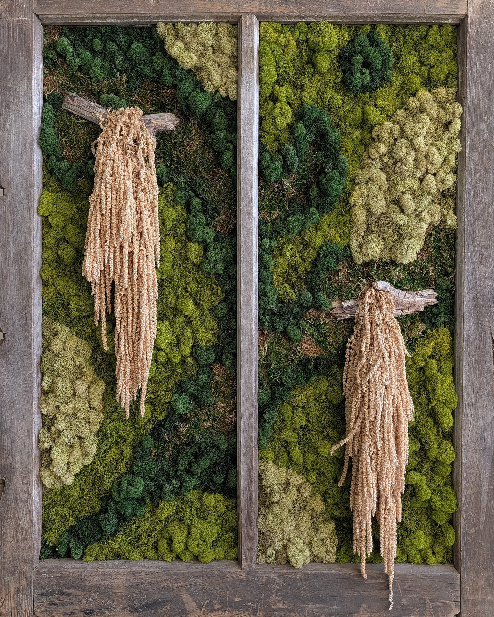 Amaranthus View - ArtLifting