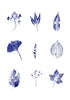 Monoprint 15 Print Jenee Fortier
