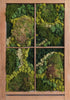Untitled 309 Original Artwork Jenee Fortier