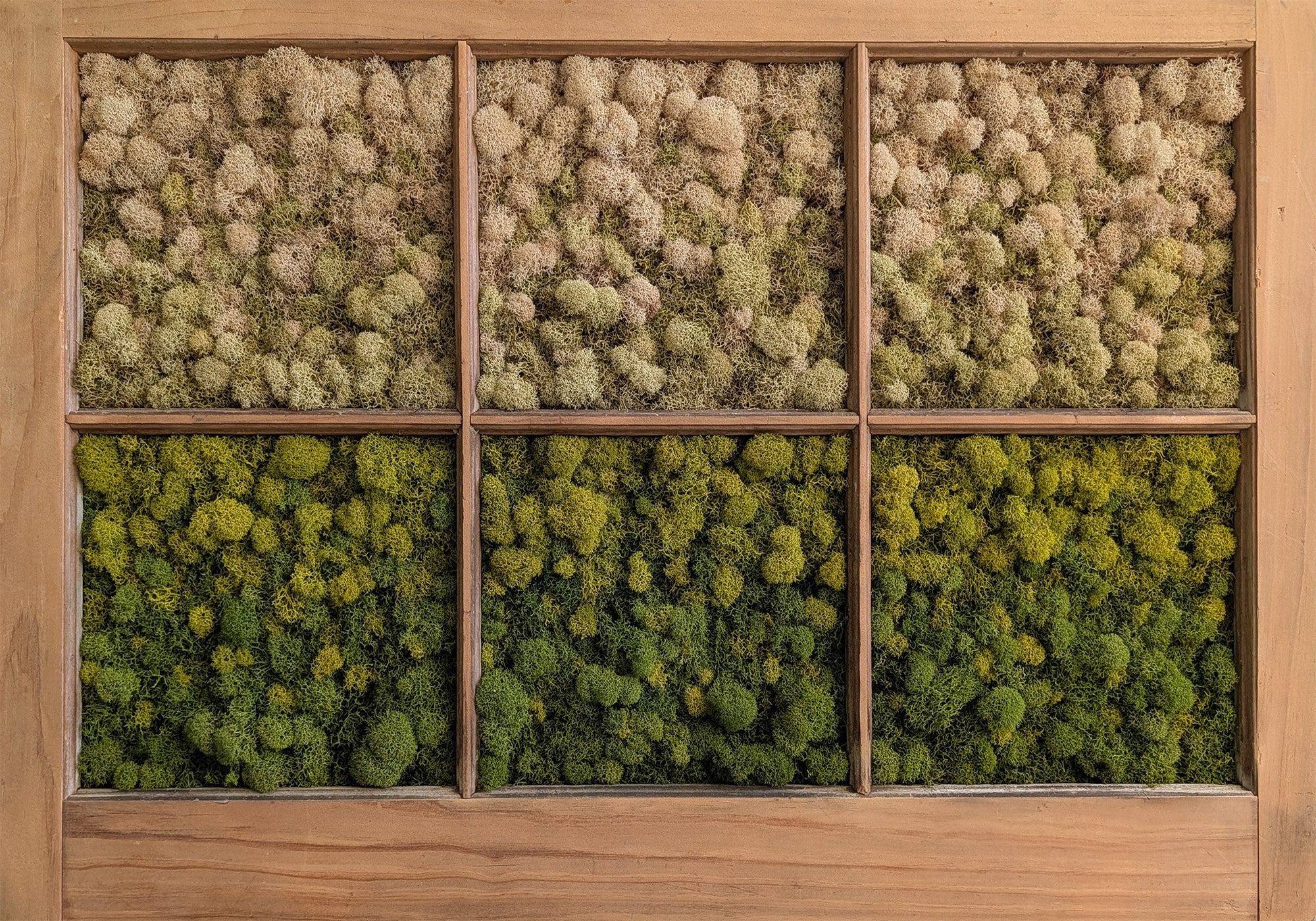 Window to the World - ArtLifting