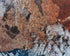 Harrowed Ground Print Jennifer Bock-Nelson