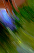 Windy Maginations Print Laria Saunders