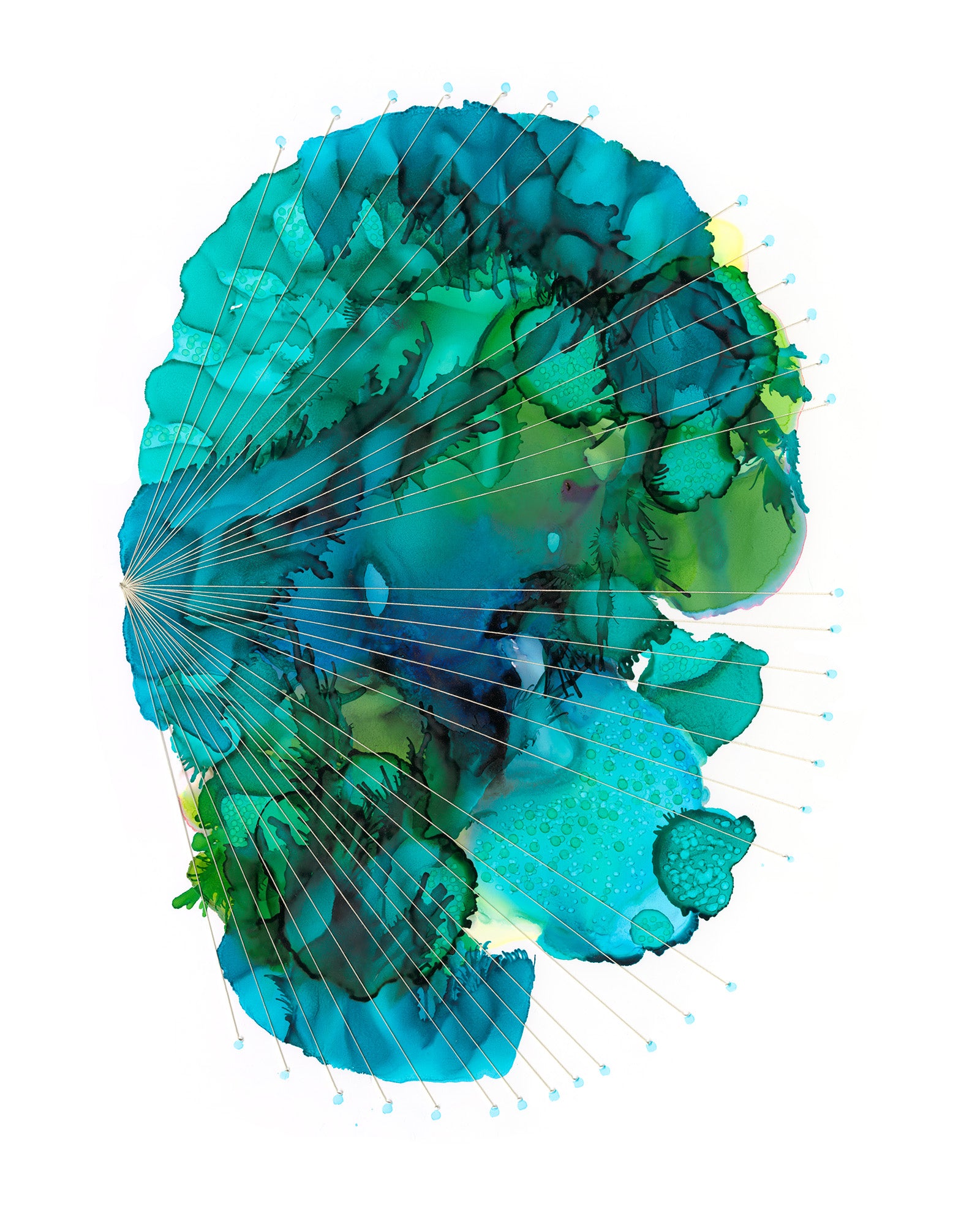 Aqua MRI III Print Lindsey Holcomb