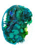 Aqua MRI II Print Lindsey Holcomb