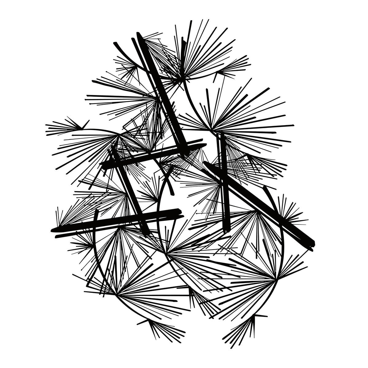 Pine II