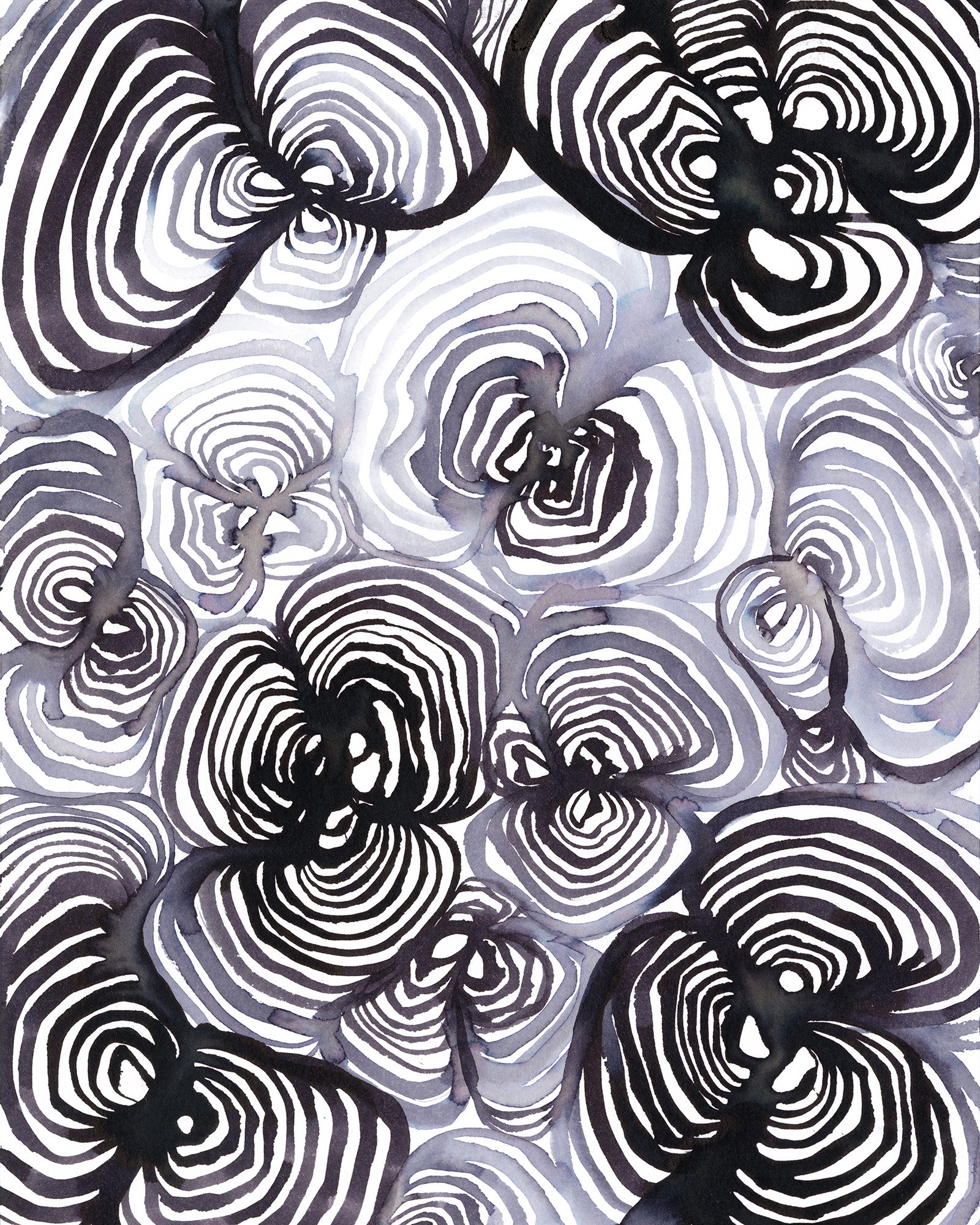 Tidal Forms: Carbon Print Lindsey Holcomb