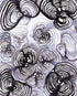 Tidal Forms: Carbon Print Lindsey Holcomb