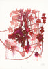 Yoshino MRI Print Lindsey Holcomb