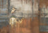 Grounded by Grace Print Luke Cooper