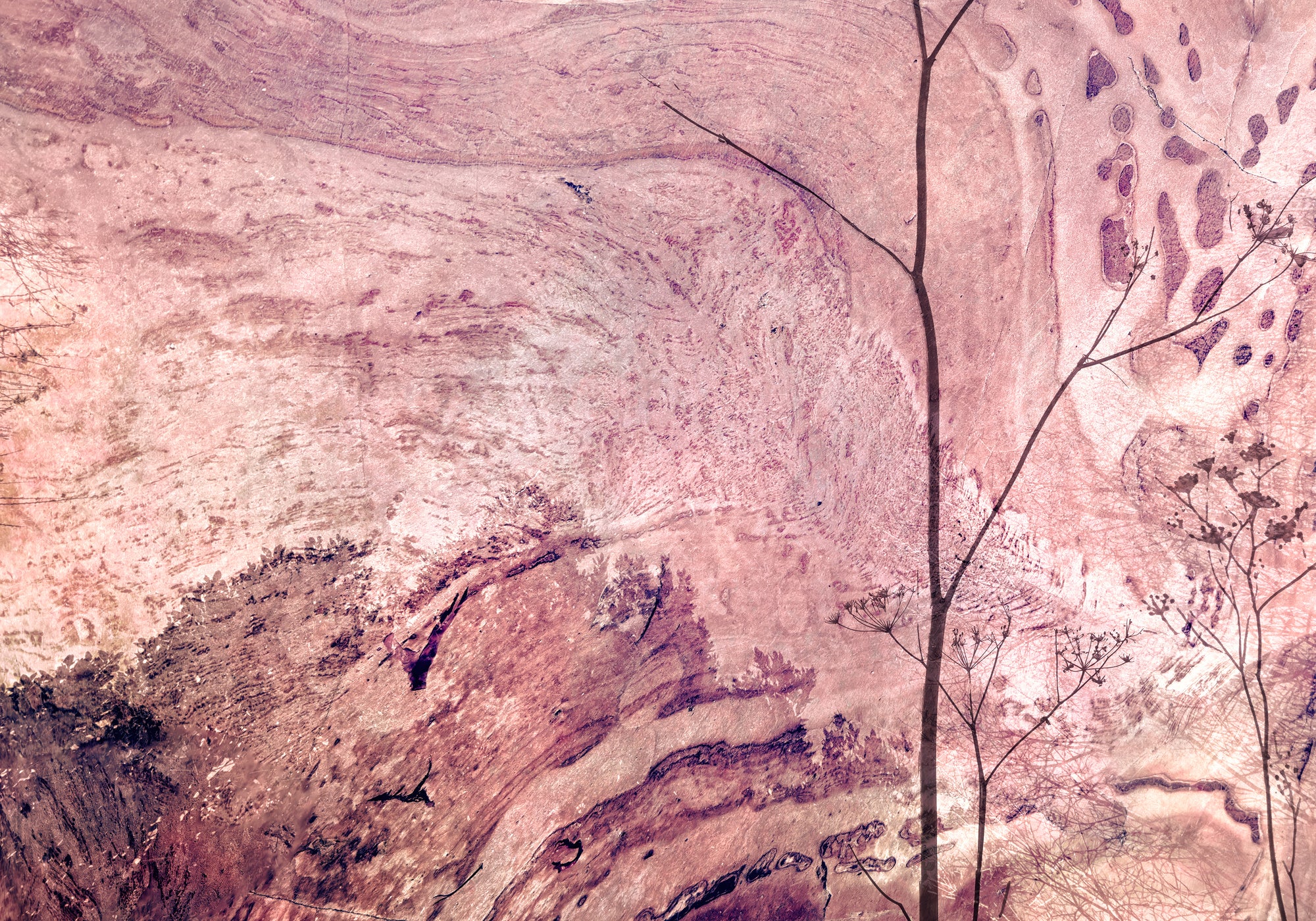 Forest Slumber Print Michael Van Huffel