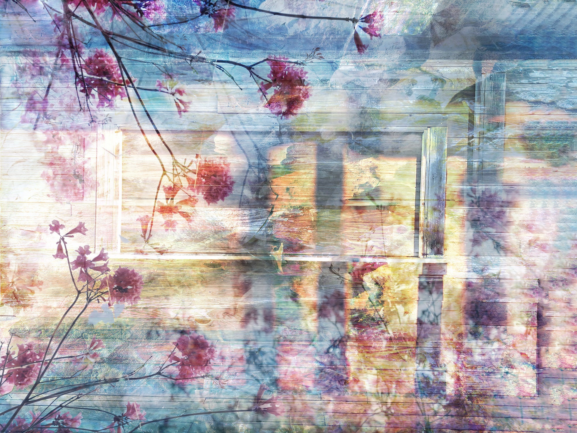 Kano Print Michael Van Huffel