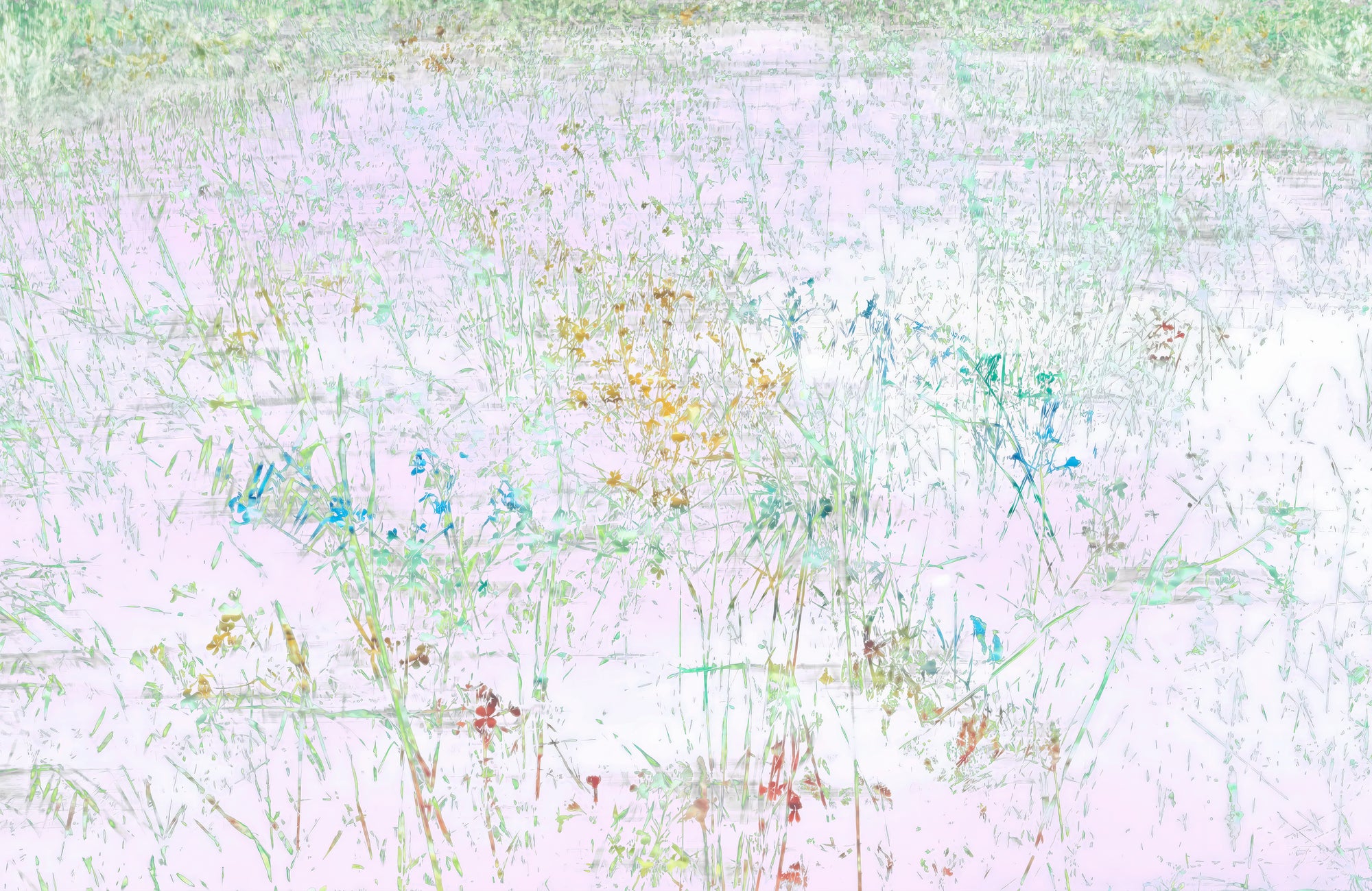 Spring Sketch
