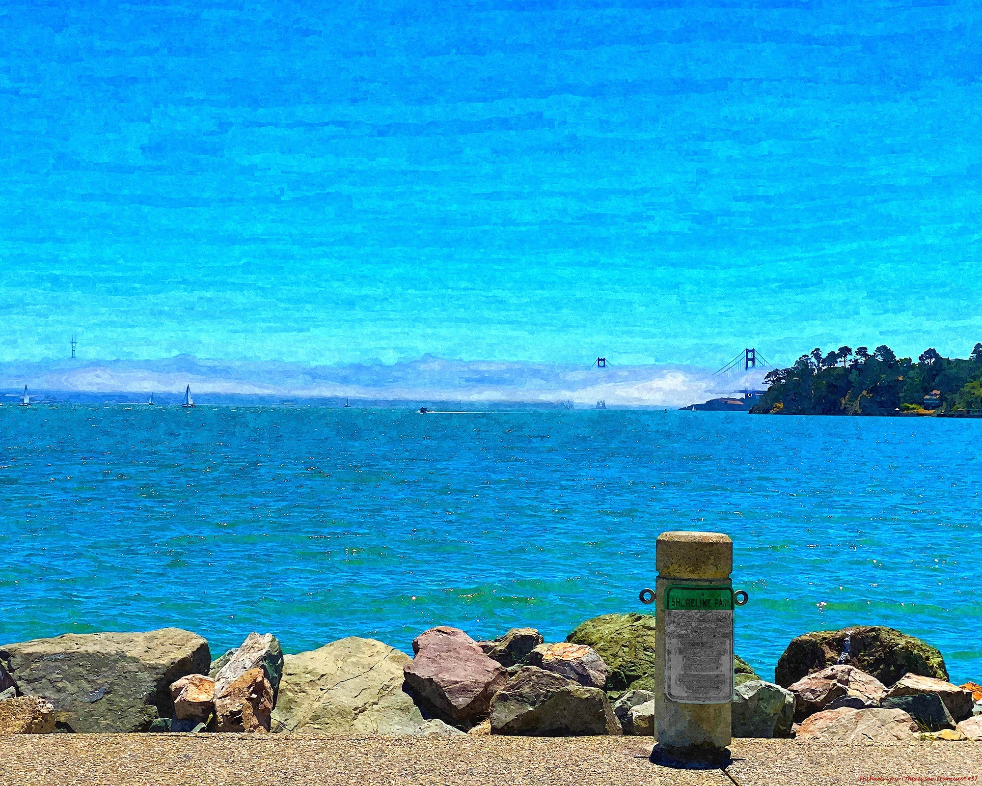 This is San Francisco! #5 Print Michaels Lyric