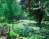 Dancing Park Print Nancy Wood