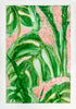 Cherished Monstera Print Rose Kamma Morrison