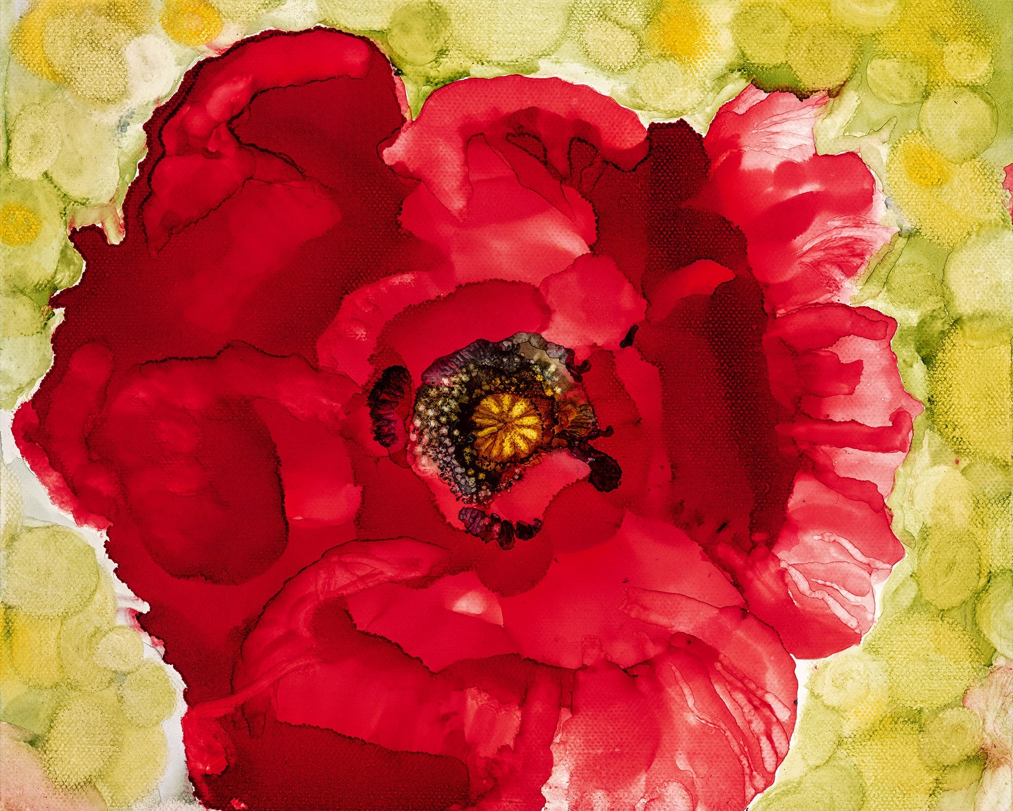 Diva of the Garden Print Rose Kamma Morrison