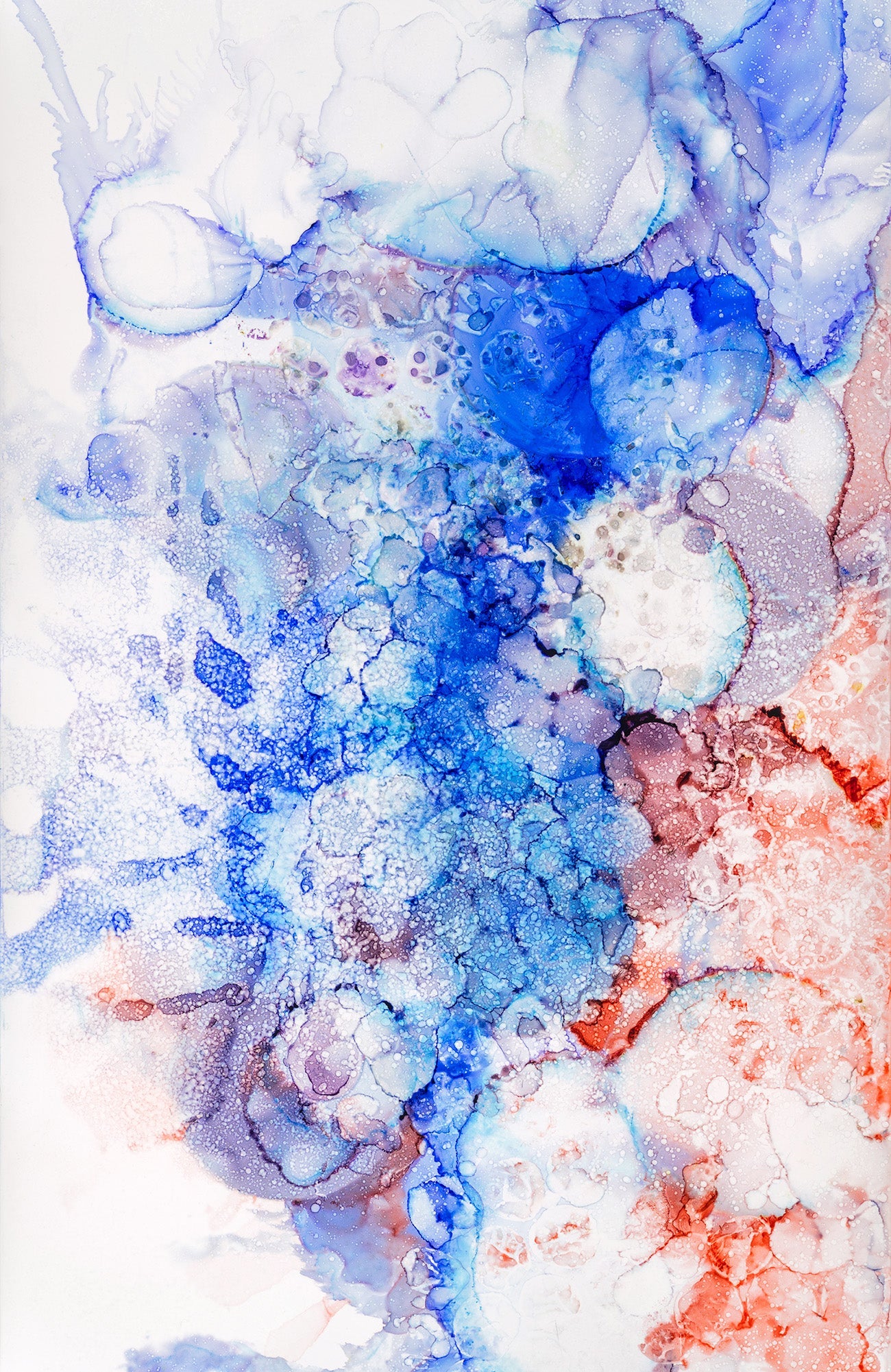 Vivre en Couleur Print Rose Kamma Morrison