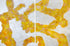 Desert Rose Original Artwork Shana Stern