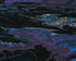Violet Swirl Print Sylvia Burnstein