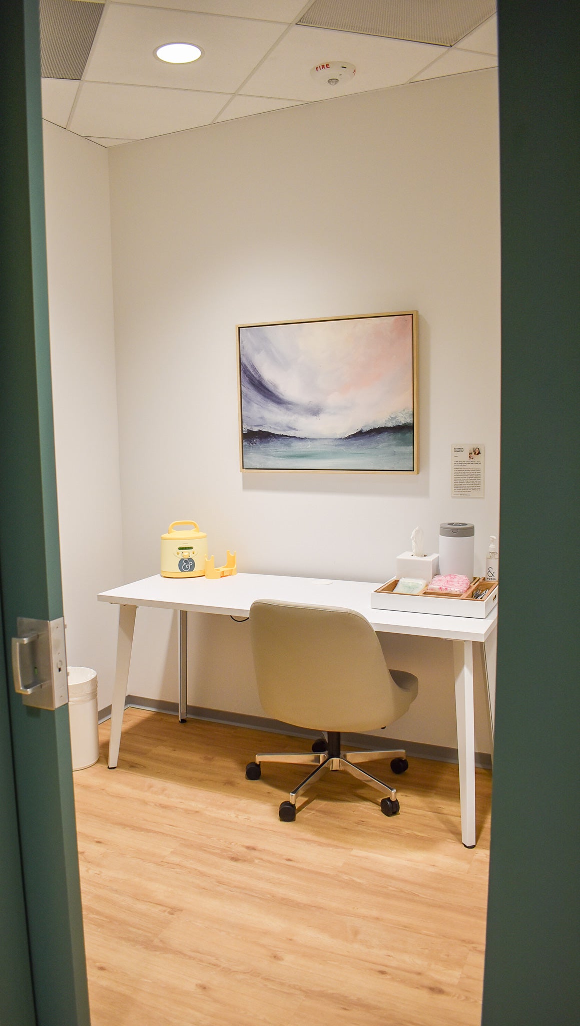 A framed canvas print of Elizabeth Shanahan’s, Vasta, is mounted on a white wall above a white desk in one of Work&’s wellness suites. 