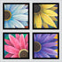 Four Daisies (polyptych) Print Rhi Wilde Fine Art Paper 20x20 black-frame