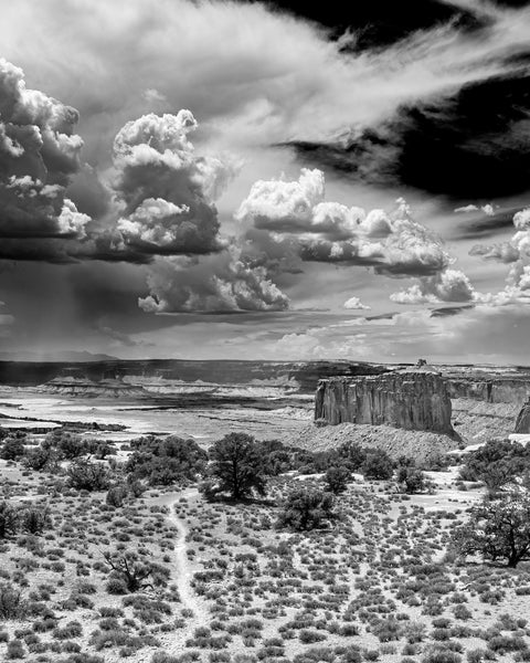 Canyonlands Mesa - ArtLifting