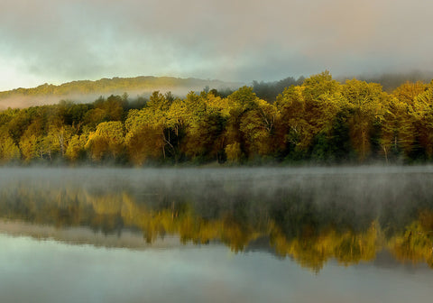 Foggy Lake Morning - ArtLifting