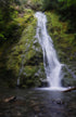 Madison Falls, Olympic NP Print Alisha Clarke