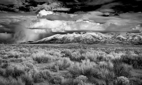 Nevada Rain Storm - ArtLifting