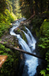 Sol Duc Falls, Olympic NP Print Alisha Clarke