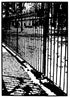 Parkside Original Artwork Allen Chamberland