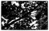 Shade Original Artwork Allen Chamberland