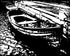 Dockside Print Allen Chamberland