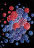 Flying Hydrangeas Print Aneliya Kostova