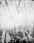 Followed 2 Print Chris Marinez