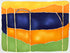 California Scape 1 Print Christina Constantine