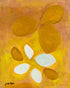 Shapes that Enhance Print Clifton Hayes
