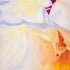 Peony Bottom Left Print Connie Avery
